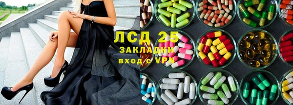 PSILOCYBIN Вязники