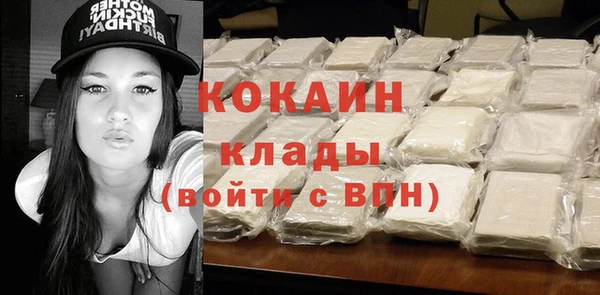 PSILOCYBIN Вязники