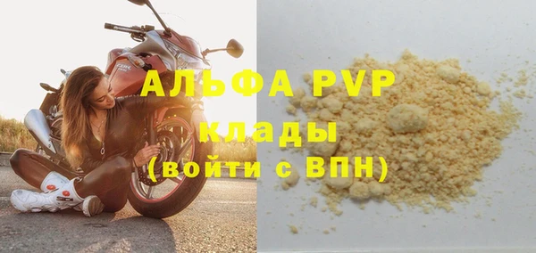 PSILOCYBIN Вязники