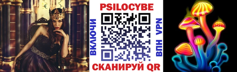 Купить где  Асино  Галлюциногенные грибы Cubensis 